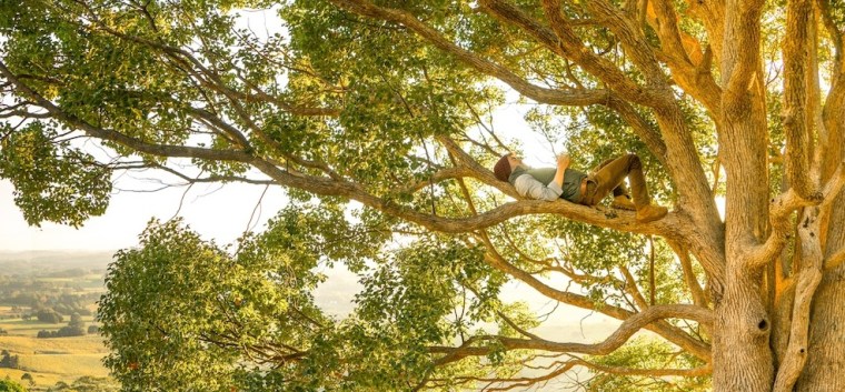 rob-mulally-123849-4